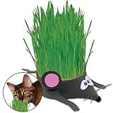 Grow Your Own Kitty Grass Plant by CloseoutZone