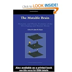 Mutable Brain: Dynamic and Plastic Features of the Developing and Mature Brain