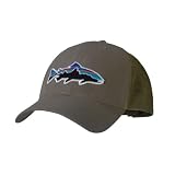 Patagonia Trucker Hat