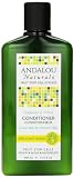 UPC 859975002058 product image for Andalou Naturals Healthy Shine Conditioner, Sunflower Citrus, 11.5 Ounce | upcitemdb.com