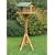 Kingfisher Bird Table Wooden