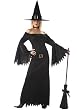 Elegant Witch Holiday Party Costume