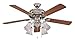 Litex GD52AN5C Grandeur 52-Inch Remote Control Adaptable 5-Blade Ceiling Fan, Antique Nickel with Clear/Frosted Glass Light