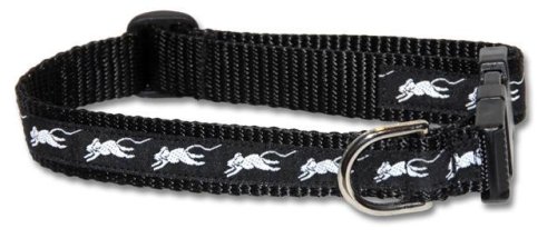 Designer Rat Cat Collar - Black and White Trim on Black Collar - Small - Made in USA
