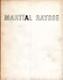 Martial Raysse