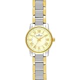 AK Anne Klein Women's 109335CHTT Two-Tone and Champagne Dial Bracelet Watch