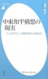 中東和平構想の現実 (平凡社新書)