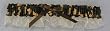 Chiffon Camouflage Garter