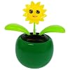 Solar Dancing Flower - Smiling Sun