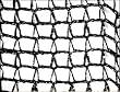 DeWitt PN302030 Deluxe Pond Protection Net, 20 X 30 Foot