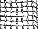 DeWitt PN302030 Deluxe Pond Protection Net, 20 X 30 Foot