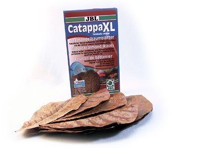 JBL 7002065 Catappa XL + Preisvergleich