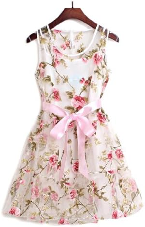 Blooms Embroidered Flowers Organza Tutu Sleeveless Dress (Small)