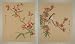 Pair of Original Chinese Watercolors on Silk -vintage brush painting / sumi with birds and flowers