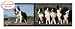 Border Collie Mural-Style Wallpaper Border by 4Walls