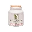Fallot French Dijon Old Fashioned Grain Mustard in Stone Jar Crock 9 oz