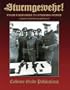 Sturmgewehr! From Firepower to Striking Power