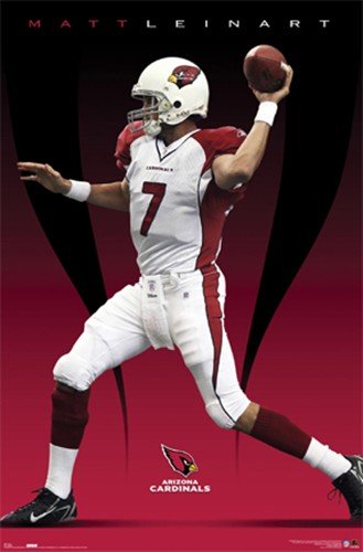 Arizona Cardinals- Leinart Art Poster PRINT Unknown 22x34