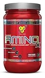 BSN Amino X  Endurance and Recovery Agent Fruit Punch, 435g