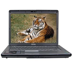 price Toshiba