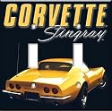 69 Corvette Coupe Switch Plate - Double Toggle