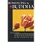 Buddhism made down-to-earth for everyday life.