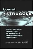 Bound by Struggle: The Strategic Evolution of Enduring International Rivalries