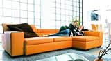Ever G Sofa (Orange) (72W x 32H x 41D)
