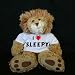 Plush Stuffed Lion (Sighin' Lion) toy with I Love Sleepy t-shirt