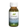 Native Remedies Naughty Nits Shampoo to Eradicate Lice and Nits from Hair (60ml)
