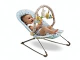 Fisher-Price Soothe n Play Bouncer