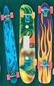 Skateboards Decorative Switchplate Cover