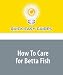 How To Care for Betta Fish: 6 Tips for Betta Fish Care