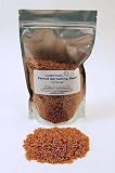Organic Kamut Seed- 1 Lb - Kamut Grain Seeds - For Flour, Bread, Baking, Cooking, Food Storage, Sprouting Sprouts, Kamut Grass Juice, Cereal & More. Kamut Is An Ancient Strain of Wheat Also Known As QK-77