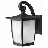 Pearl Small Outdoor Wall Lantern in Black with Energy Saving Option Size: Small, Dark Sky Compliant/Energy Saving Option: Dark Sky Compliant/No