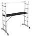 Multi-Purpose 5 Way Ladder/Platform