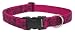 Lupine Large Dog Collar - Plum Blossom 12-20 Inches