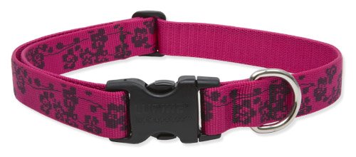 Lupine Large Dog Collar - Plum Blossom 18-31 Inches