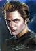 Twilight (Edward) Movie Poster Print - 11" X 17"