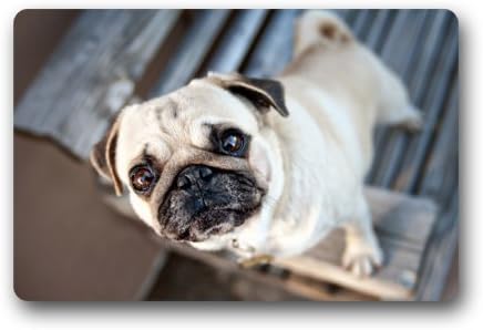 Door Mat Pug Dog Durable Heat-23.6"(L)x15.7"(W) 3/16" Doormat