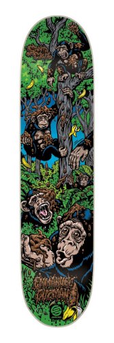 Santa Cruz Skate Guzman Bonobo Powerply Decks, 31.9 x 8.1 – Inches