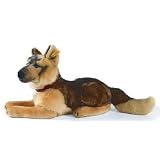 18 AKC German Shepherd