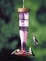 Schrodt Designs Model HBL-HPA Amethyst Hummingbird Paradise Feeder