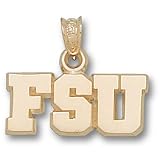 Florida State Univ Fsu 5/16 Pendant (14kt)