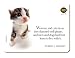 Hana Deka Cat Kitten Coasters