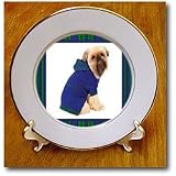 Doggie in Hoodie - 8 Inch Porcelain Plate