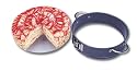 Frieling USA 3850 Handle-It Glass Bottom Springform- 9-Inch