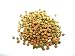 HBH Turtle Bites Aquatic Reptile Food Aquarium 1 LB