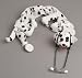 Stethoscope Cover - Dalmation