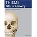 Head and Neuroanatomy (THIEME Atlas of Anatomy) (THIEME Atlas of Anatomy Series)